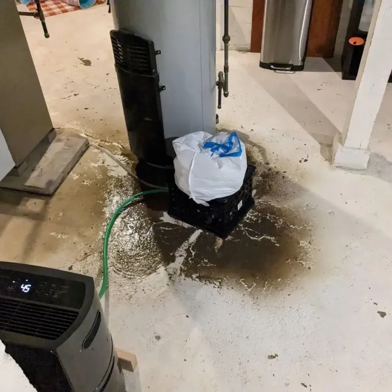 Sewage Backup Cleanup Service in Crested Butte, CO